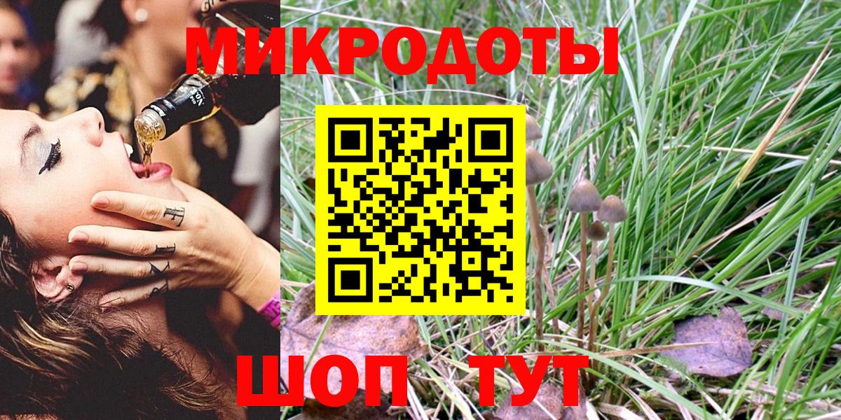 Псилоцибиновые грибы MAGIC MUSHROOMS  Галлюциногенные грибы Psilocybe  дарнет шоп  Вход с VPN  Сланцы 