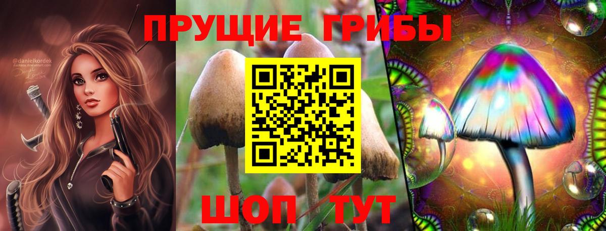 Псилоцибиновые грибы ЛСД Сланцы